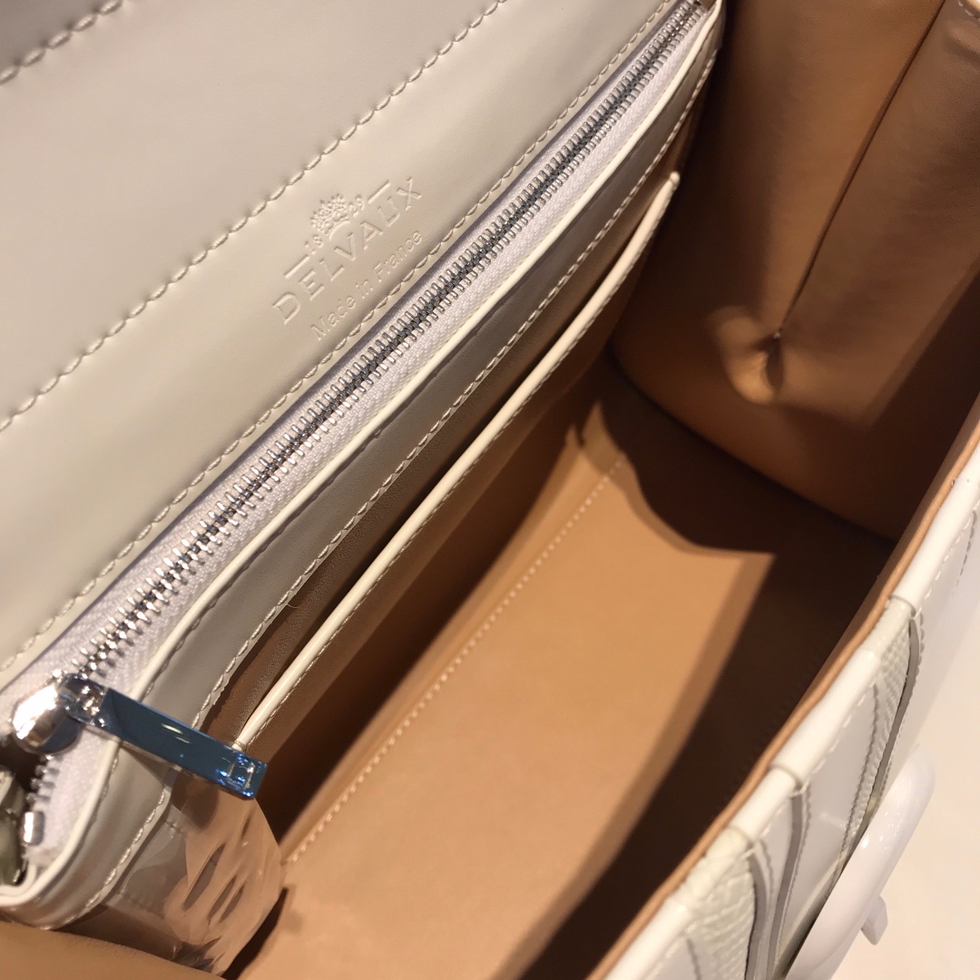 델보 브리앙 박스백 미듐